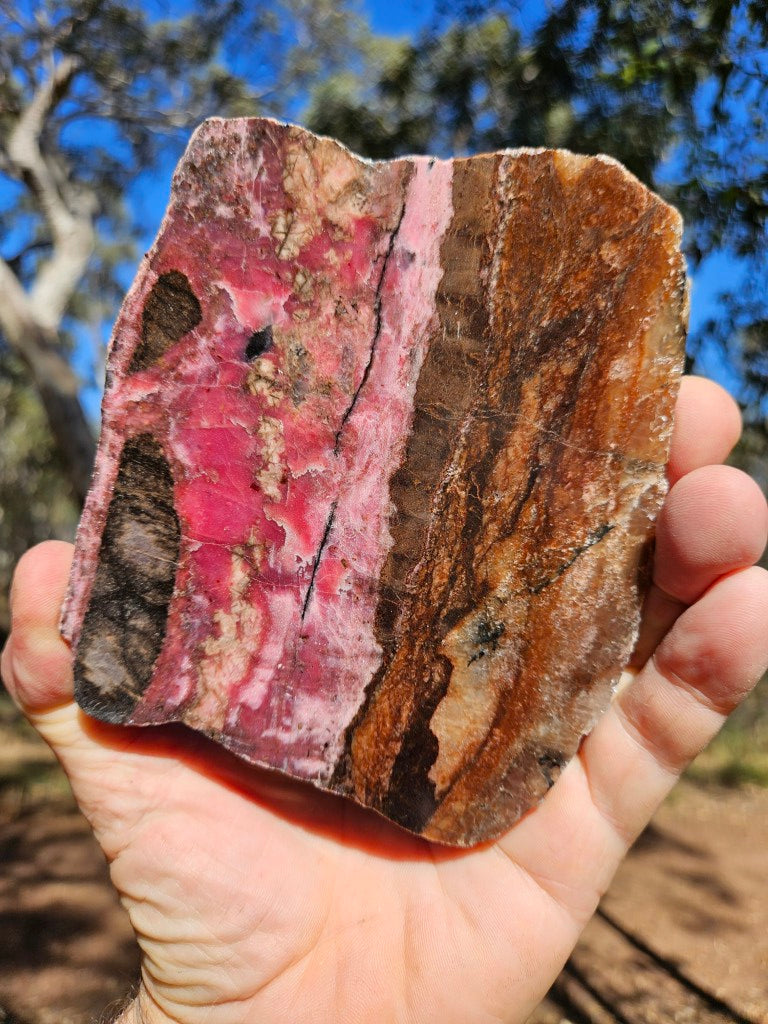 Polished Rhodonite slab RH310
