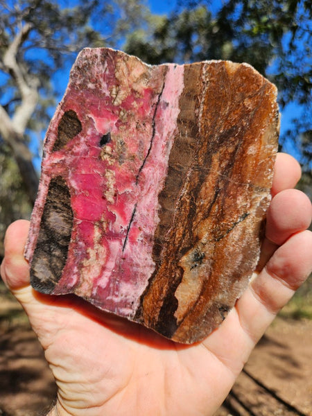 Polished Rhodonite slab RH310