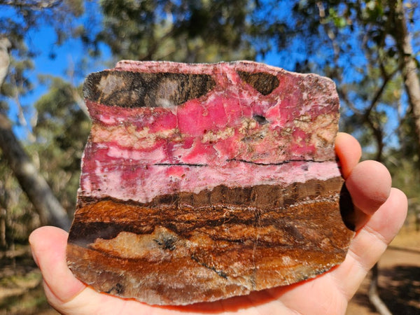 Polished Rhodonite slab RH310