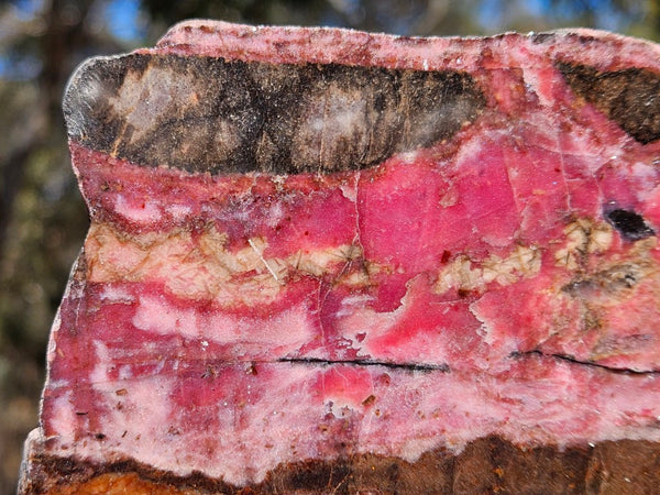 Polished Rhodonite slab RH310