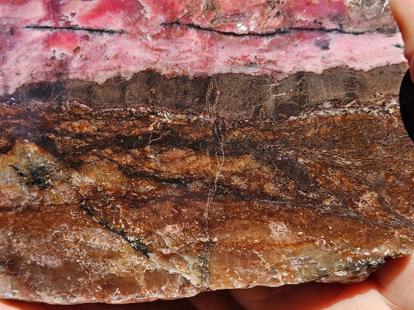 Polished Rhodonite slab RH310