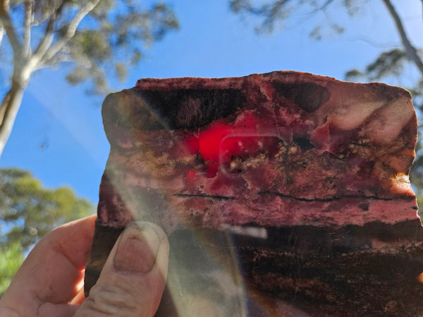 Polished Rhodonite slab RH310