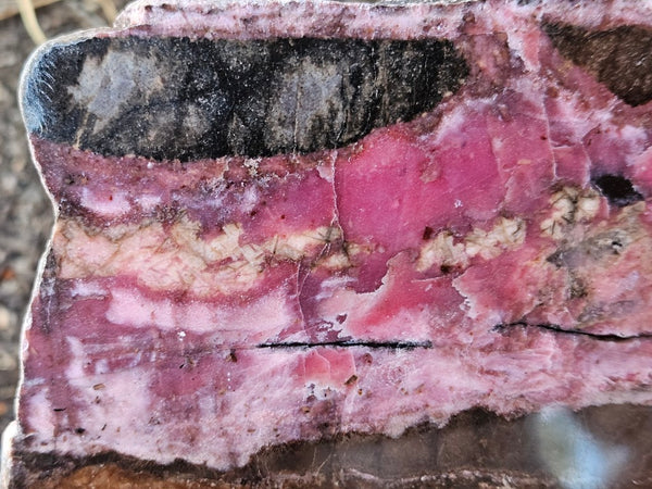 Polished Rhodonite slab RH310
