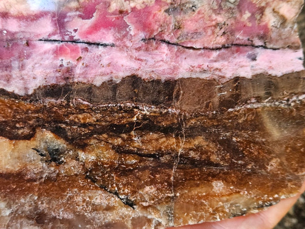 Polished Rhodonite slab RH310