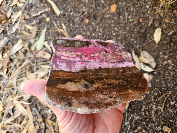 Polished Rhodonite slab RH310