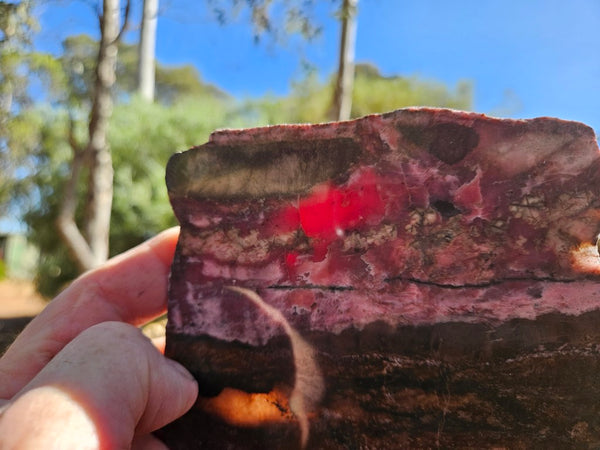 Polished Rhodonite slab RH310