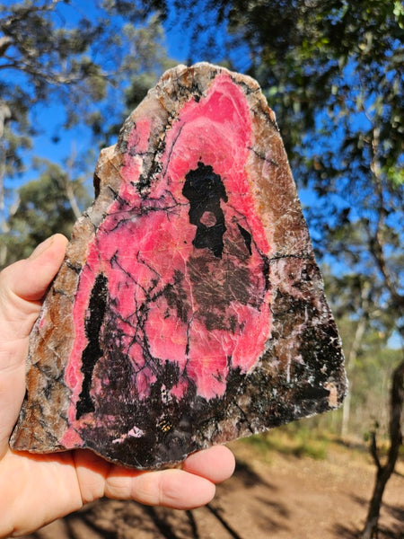 Polished Rhodonite slab RH309