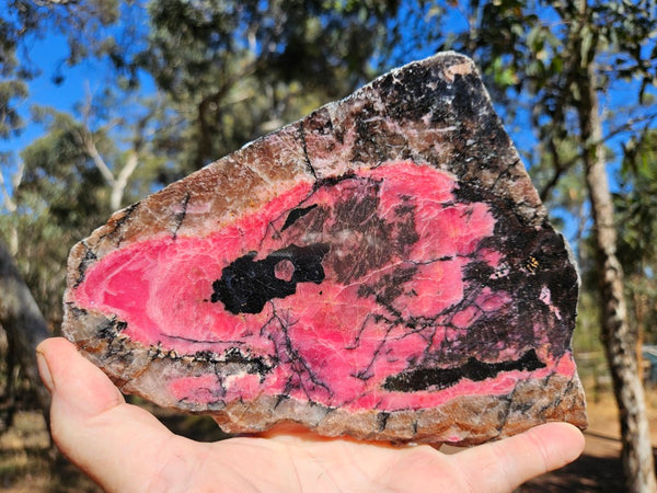 Polished Rhodonite slab RH309