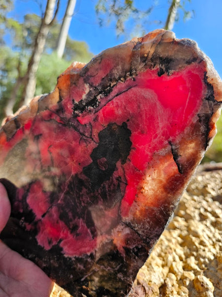 Polished Rhodonite slab RH309