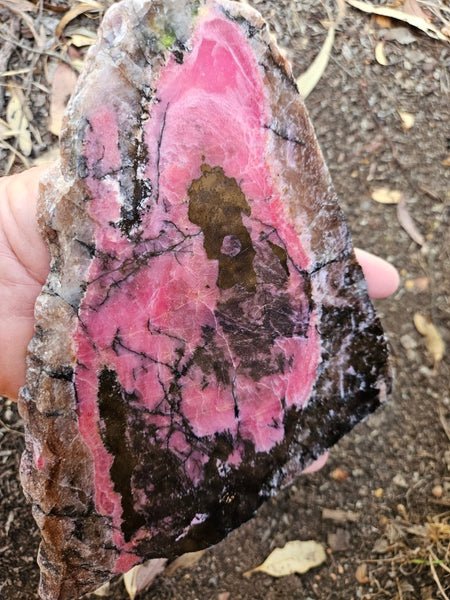 Polished Rhodonite slab RH309