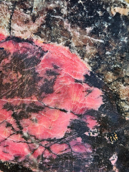 Polished Rhodonite slab RH309