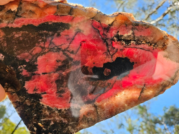 Polished Rhodonite slab RH309