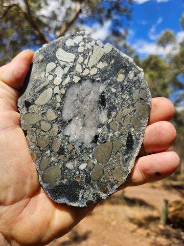 Polished Beaton's Creek auriferous conglomerate slab BC109