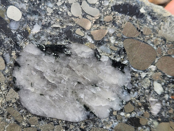 Polished Beaton's Creek auriferous conglomerate slab BC109