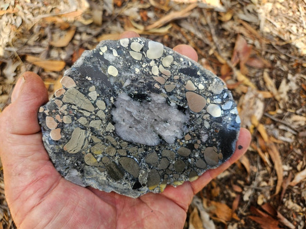 Polished Beaton's Creek auriferous conglomerate slab BC109