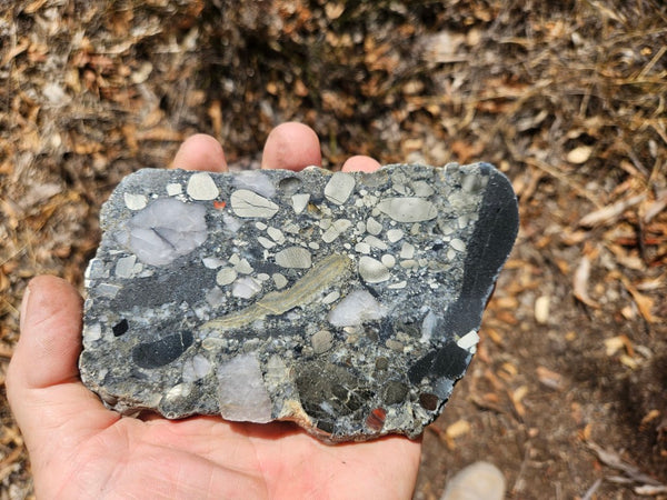 Polished Beaton's Creek auriferous conglomerate slab BC110
