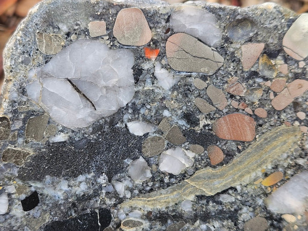 Polished Beaton's Creek auriferous conglomerate slab BC110