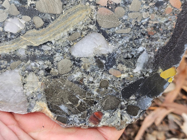 Polished Beaton's Creek auriferous conglomerate slab BC110