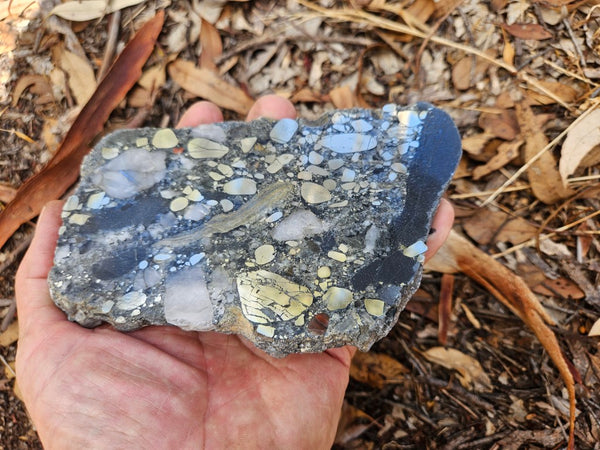 Polished Beaton's Creek auriferous conglomerate slab BC110