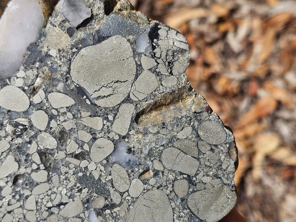 Polished Beaton's Creek auriferous conglomerate slab BC111