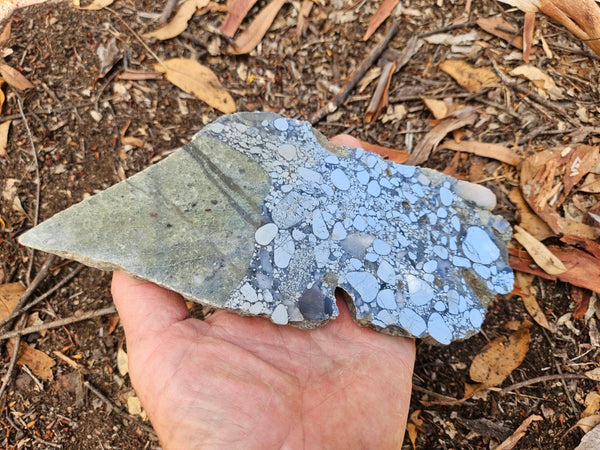 Polished Beaton's Creek auriferous conglomerate slab BC111