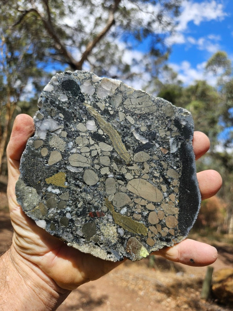 Polished Beaton's Creek auriferous conglomerate slab BC112