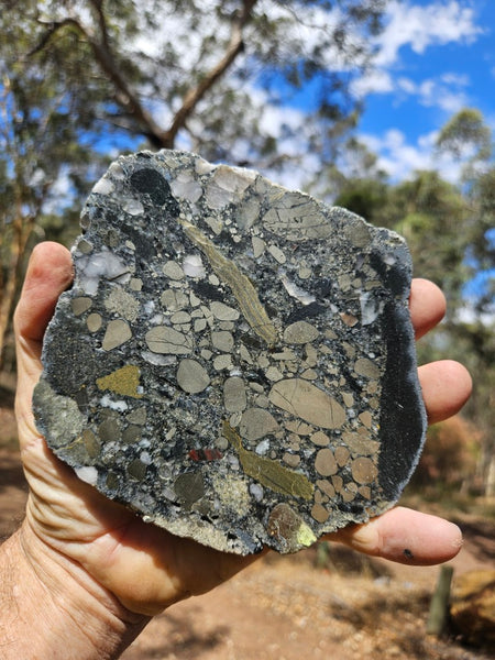 Polished Beaton's Creek auriferous conglomerate slab BC112
