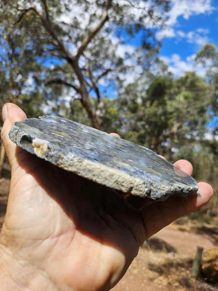 Polished Beaton's Creek auriferous conglomerate slab BC112