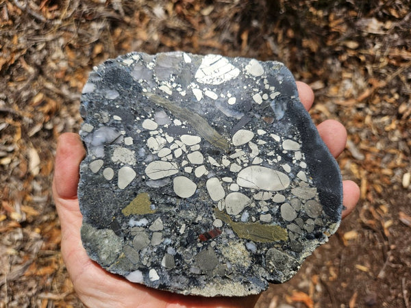 Polished Beaton's Creek auriferous conglomerate slab BC112