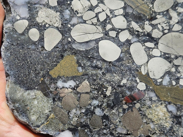 Polished Beaton's Creek auriferous conglomerate slab BC112
