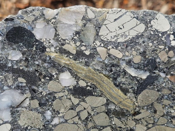 Polished Beaton's Creek auriferous conglomerate slab BC112