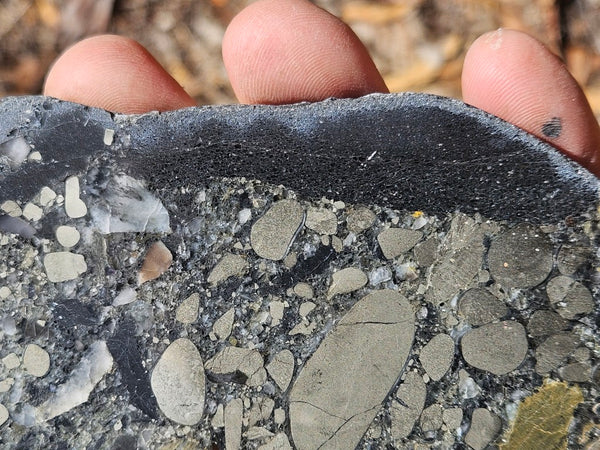 Polished Beaton's Creek auriferous conglomerate slab BC112