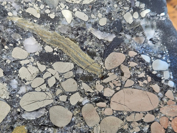 Polished Beaton's Creek auriferous conglomerate slab BC112