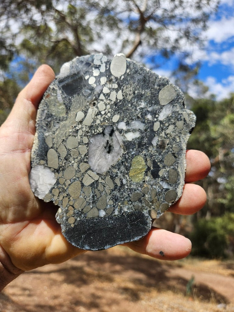 Polished Beaton's Creek auriferous conglomerate slab BC113