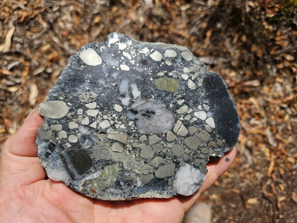 Polished Beaton's Creek auriferous conglomerate slab BC113
