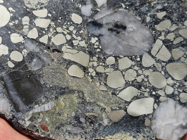 Polished Beaton's Creek auriferous conglomerate slab BC113