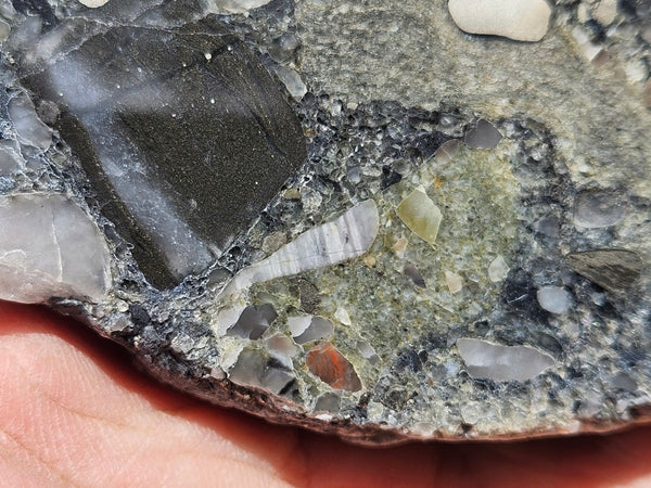 Polished Beaton's Creek auriferous conglomerate slab BC113