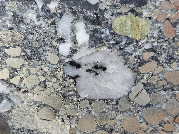 Polished Beaton's Creek auriferous conglomerate slab BC113