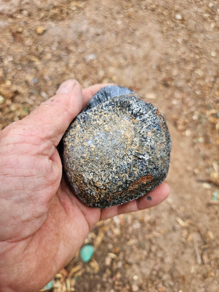 Pair of polished Orbicular Granite. OG217