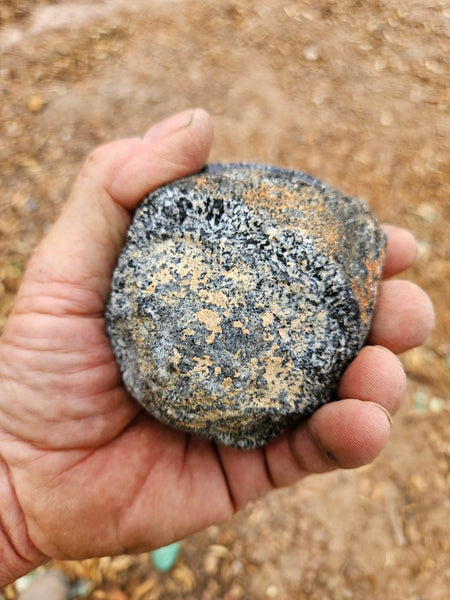 Pair of polished Orbicular Granite. OG217