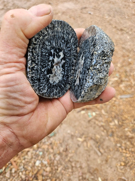 Pair of polished Orbicular Granite. OG217