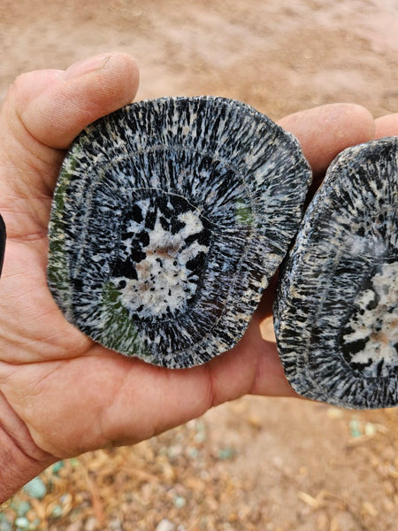 Pair of polished Orbicular Granite. OG217