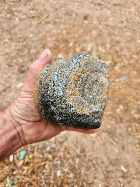 Pair of polished Orbicular Granite. OG218