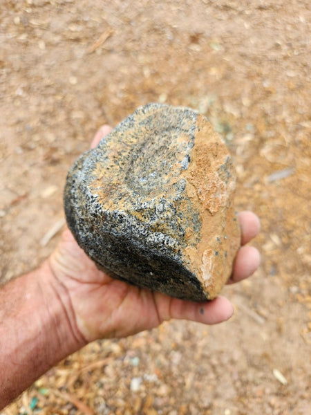 Pair of polished Orbicular Granite. OG218