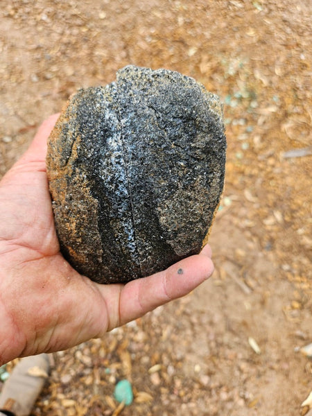 Pair of polished Orbicular Granite. OG218