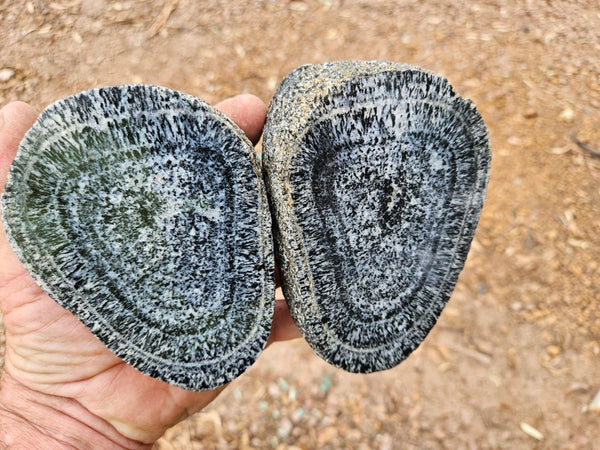 Pair of polished Orbicular Granite. OG218