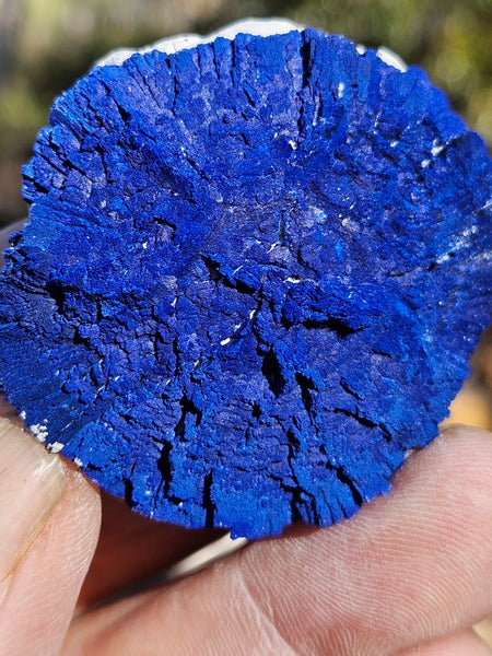 Azurite Sun  AZ187