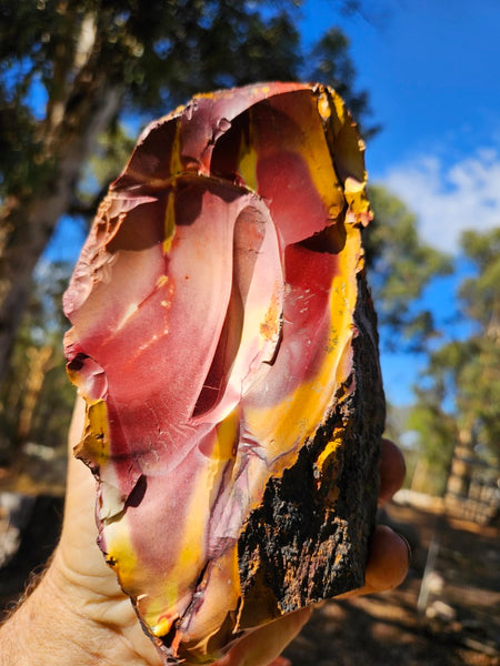 Mookaite rough.  MKR 293