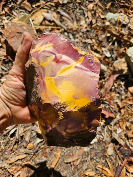 Mookaite rough.  MKR 293