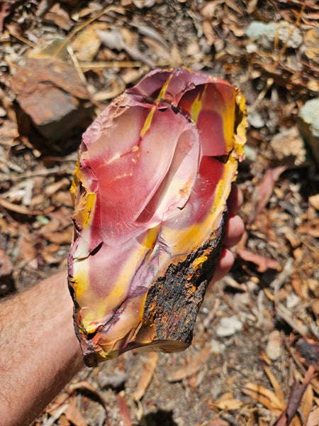 Mookaite rough.  MKR 293